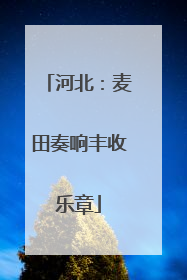河北：麦田奏响丰收乐章