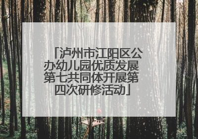 泸州市江阳区公办幼儿园优质发展第七共同体开展第四次研修活动