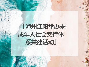 泸州江阳举办未成年人社会支持体系共建活动