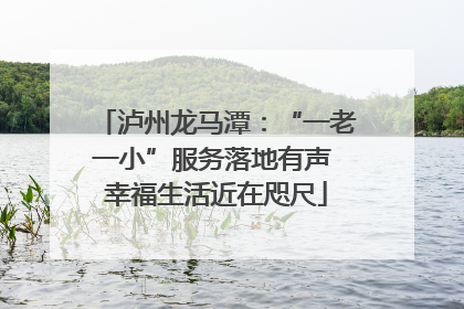 泸州龙马潭：“一老一小”服务落地有声 幸福生活近在咫尺