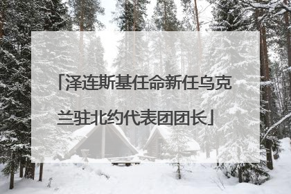 泽连斯基任命新任乌克兰驻北约代表团团长