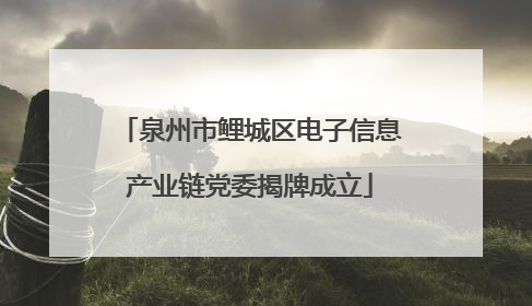 泉州市鲤城区电子信息产业链党委揭牌成立