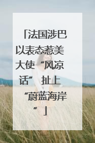 法国涉巴以表态惹美大使“风凉话” 扯上“蔚蓝海岸”