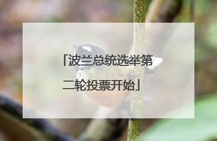 波兰总统选举第二轮投票开始
