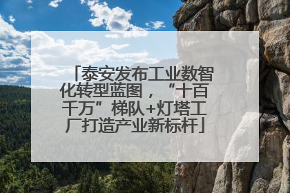 泰安发布工业数智化转型蓝图，“十百千万”梯队+灯塔工厂打造产业新标杆
