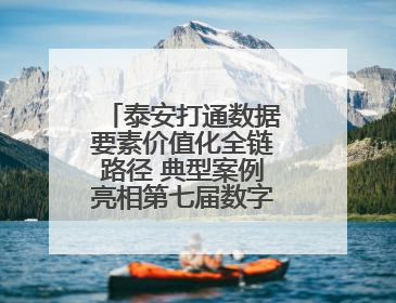 泰安打通数据要素价值化全链路径 典型案例亮相第七届数字中国建设峰会