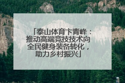泰山体育卞青峰：推动高端竞技技术向全民健身装备转化，助力乡村振兴