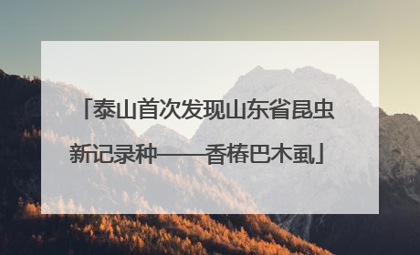 泰山首次发现山东省昆虫新记录种——香椿巴木虱