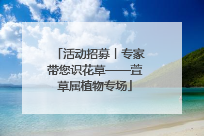 活动招募丨专家带您识花草——萱草属植物专场