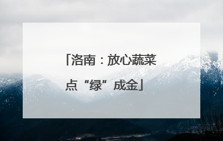 洛南：放心蔬菜点“绿”成金