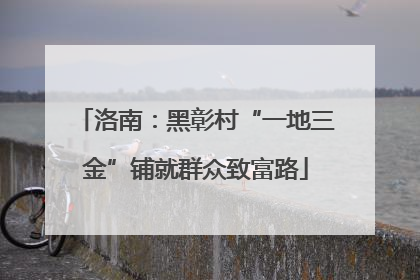 洛南：黑彰村“一地三金”铺就群众致富路