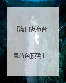 海口发布台风黄色预警
