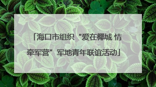 海口市组织“爱在椰城 情牵军营”军地青年联谊活动
