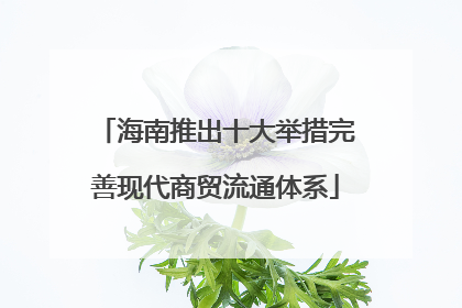 海南推出十大举措完善现代商贸流通体系