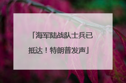 海军陆战队士兵已抵达！特朗普发声