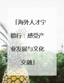 海外人才宁德行：感受产业发展与文化交融