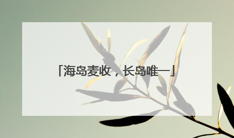 海岛麦收，长岛唯一