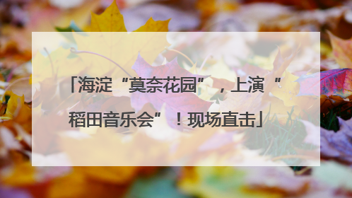 海淀“莫奈花园”,上演“稻田音乐会”!现场直击