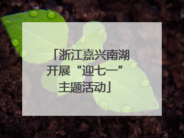浙江嘉兴南湖开展“迎七一”主题活动