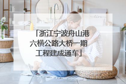 浙江宁波舟山港六横公路大桥一期工程建成通车
