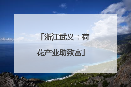 浙江武义：荷花产业助致富