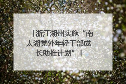 浙江湖州实施“南太湖党外年轻干部成长助推计划”