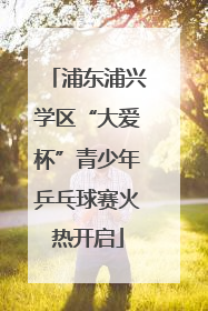 浦东浦兴学区“大爱杯”青少年乒乓球赛火热开启