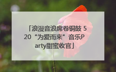 浪漫音浪席卷铜鼓 520“为爱而来”音乐Party甜蜜收官