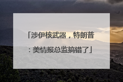 涉伊核武器，特朗普：美情报总监搞错了