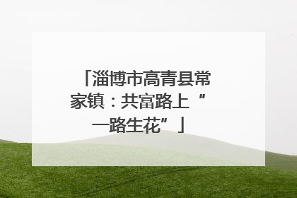淄博市高青县常家镇：共富路上“一路生花”