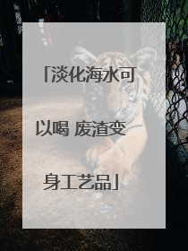 淡化海水可以喝 废渣变身工艺品