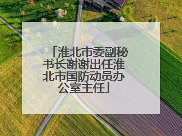 淮北市委副秘书长谢谢出任淮北市国防动员办公室主任