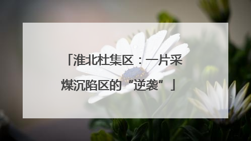 淮北杜集区：一片采煤沉陷区的“逆袭”