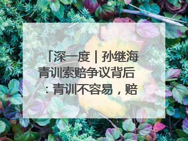 深一度｜孙继海青训索赔争议背后：青训不容易，赔偿可仲裁