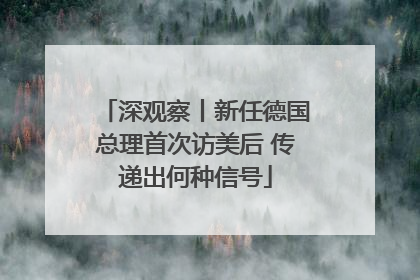 深观察丨新任德国总理首次访美后 传递出何种信号