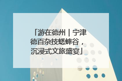 游在德州｜宁津德百杂技蟋蟀谷，沉浸式文旅盛宴