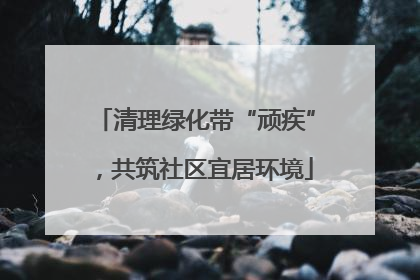 清理绿化带“顽疾”，共筑社区宜居环境
