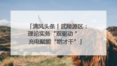 清风头条｜武陵源区：理论实务“双驱动 ” 充电赋能“增才干”