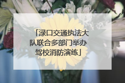 渌口交通执法大队联合多部门举办驾校消防演练