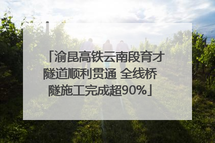 渝昆高铁云南段育才隧道顺利贯通 全线桥隧施工完成超90%