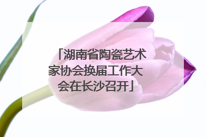 湖南省陶瓷艺术家协会换届工作大会在长沙召开