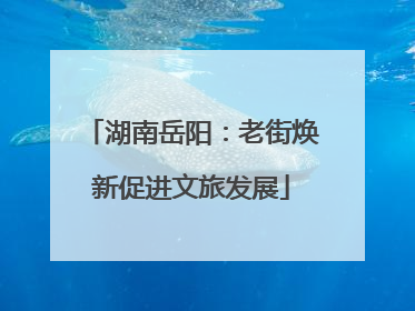 湖南岳阳：老街焕新促进文旅发展