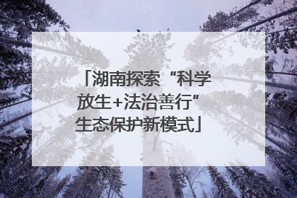 湖南探索“科学放生+法治善行”生态保护新模式
