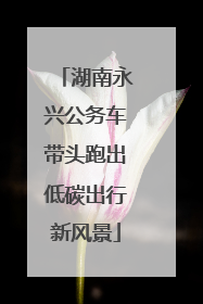 湖南永兴公务车带头跑出低碳出行新风景