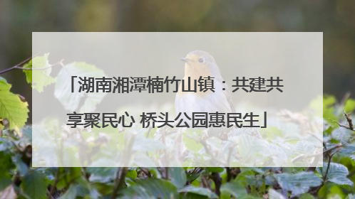 湖南湘潭楠竹山镇：共建共享聚民心 桥头公园惠民生