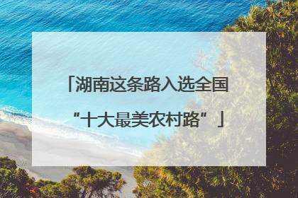 湖南这条路入选全国“十大最美农村路”