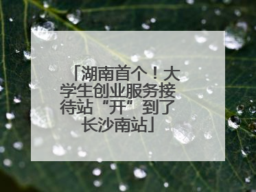 湖南首个！大学生创业服务接待站“开”到了长沙南站