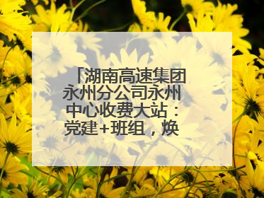 湖南高速集团永州分公司永州中心收费大站：党建+班组，焕发内在活力