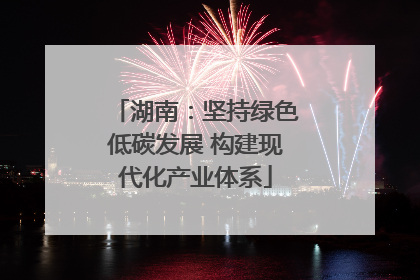 湖南：坚持绿色低碳发展 构建现代化产业体系