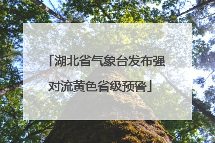 湖北省气象台发布强对流黄色省级预警